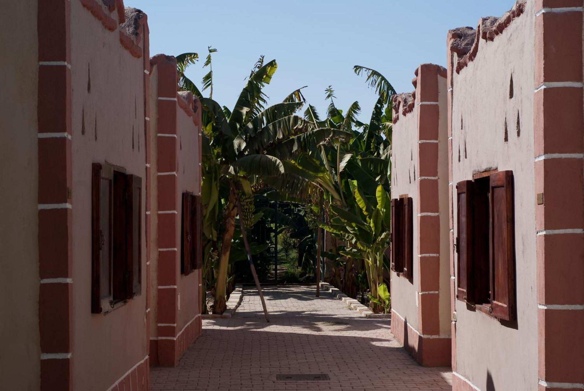 Al Baeirat Hotel Luxor Eksteriør bilde